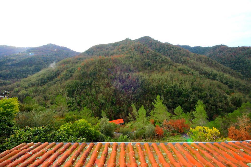 La Favorita Apricale B&B & Ristorante 객실 사진